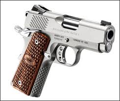 Kimber Raptor